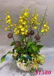Orchid Phalaenopsis Gift Set - CODE 1148